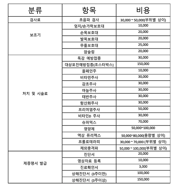 비급여안내